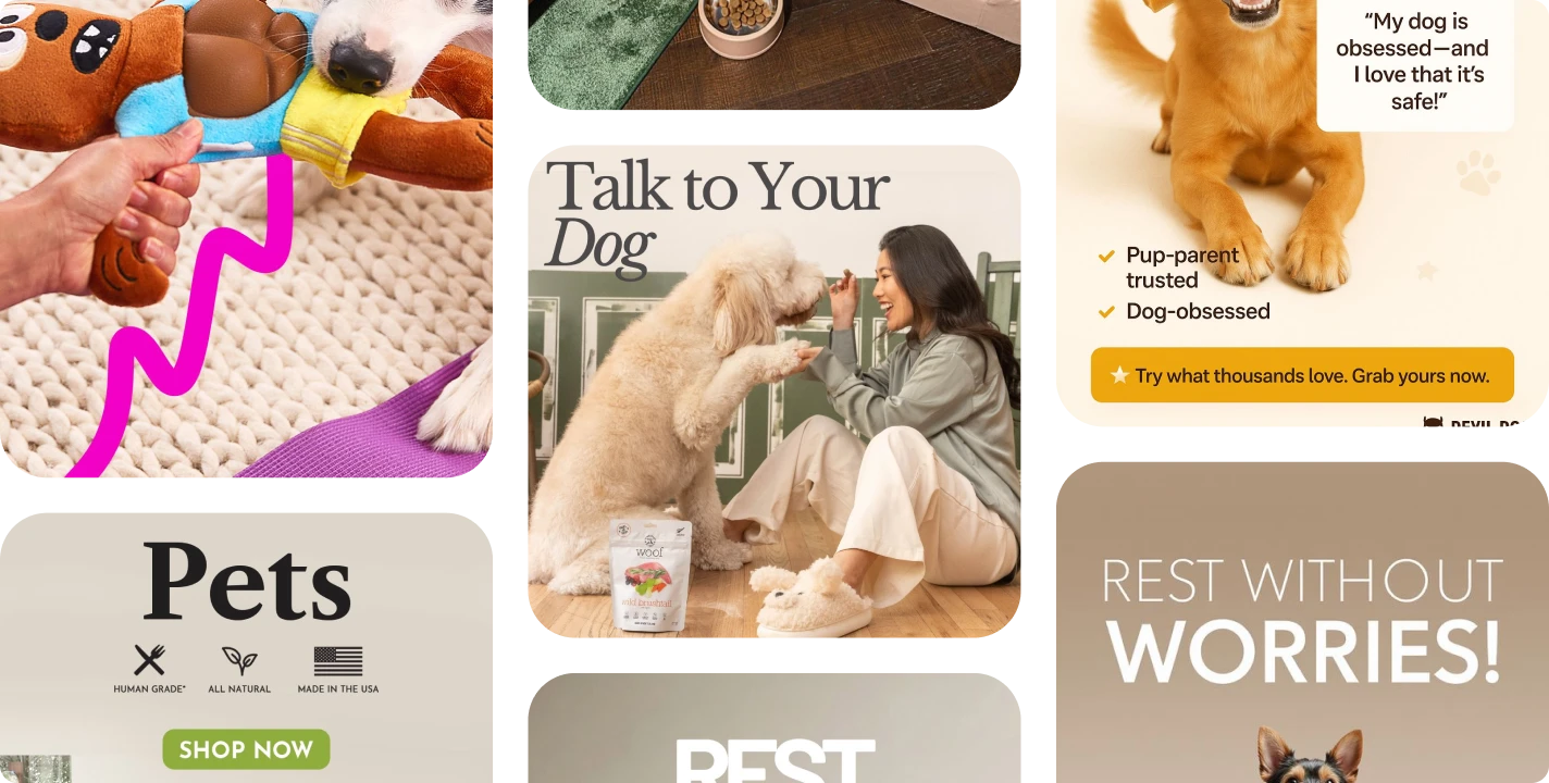 Chewy recent Meta ad creatives