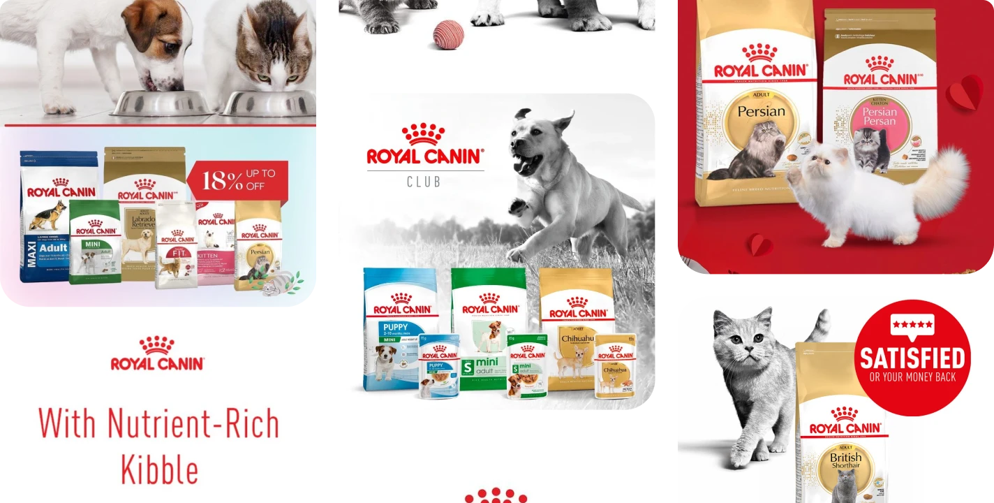 Royal Canin recent Meta ad creatives